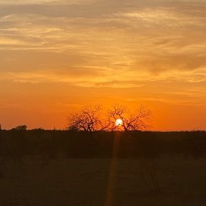 Meet your Posher, Edith